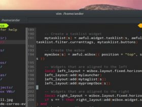 Programar en Linux