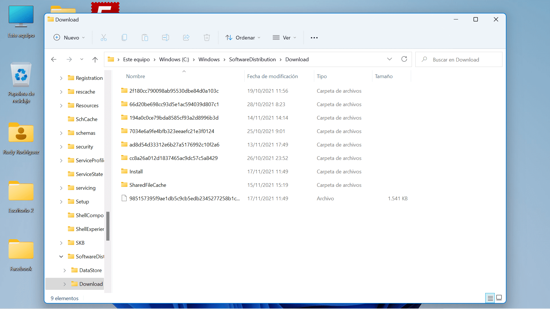 Parches de Windows