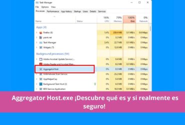 Aggregator Host.exe