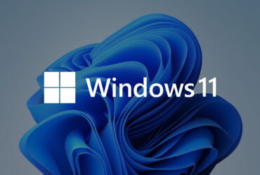 Windows 11 Build 25201