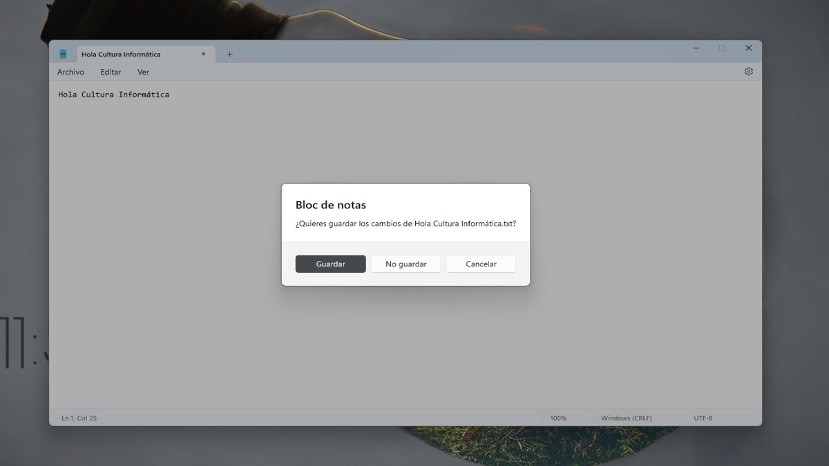 El Bloc de notas de Moment 2 para Windows 11 trae problemas 