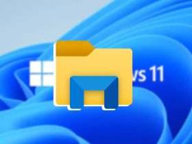 Explorador de archivos de Windows 11