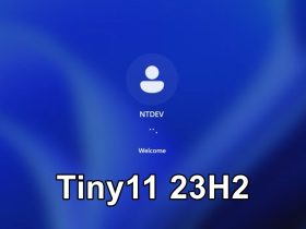 Tiny11 23H2